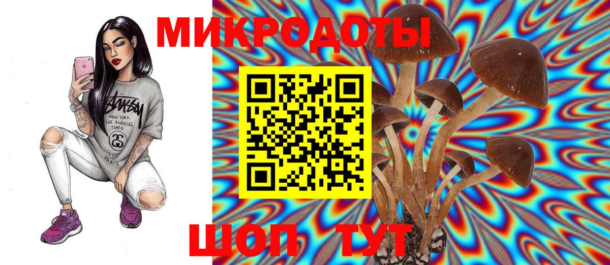 Галлюциногенные грибы Psilocybine cubensis Родники
